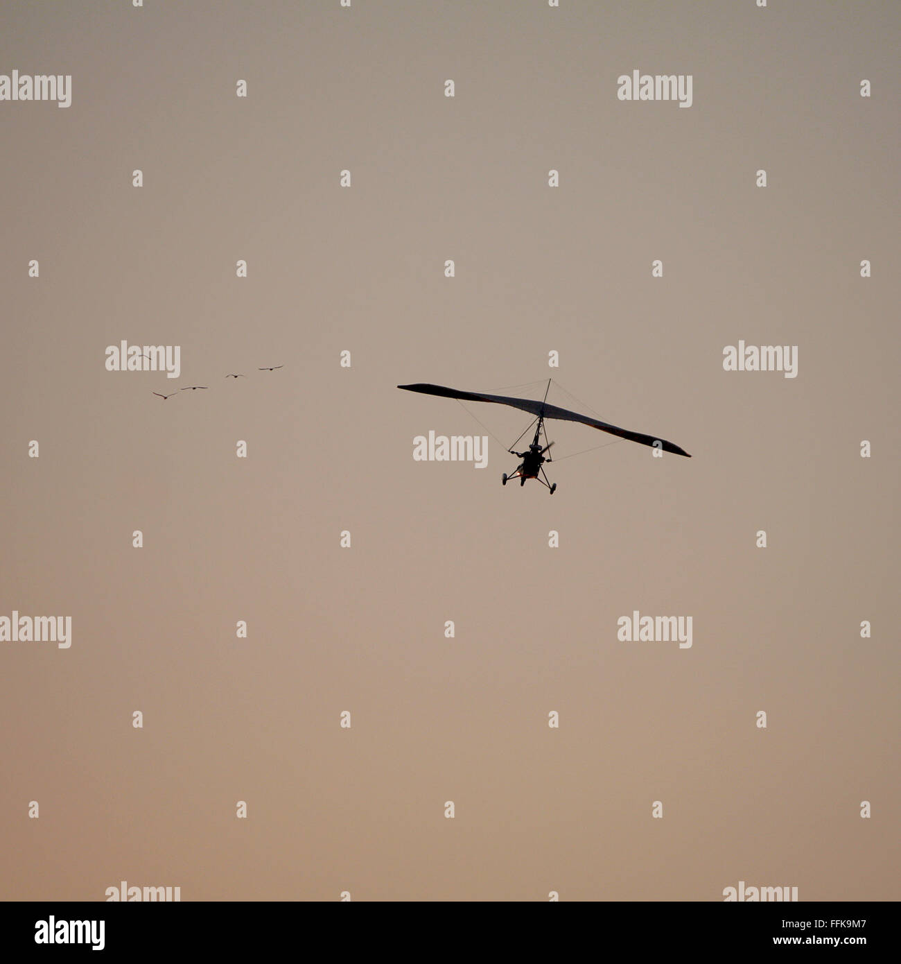 Glider flying in the sky Stock Photo Alamy