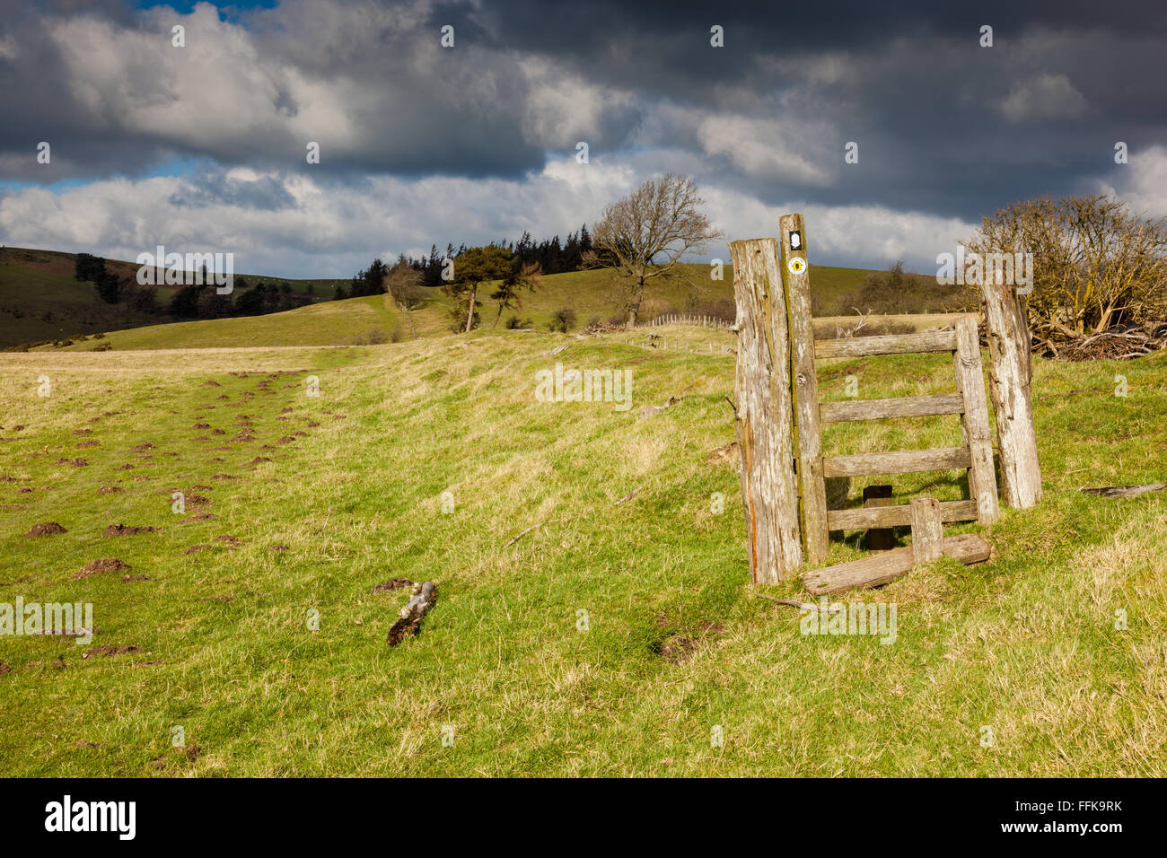 Offa's Dyke earthwork and National Trail near Panpunton Hill