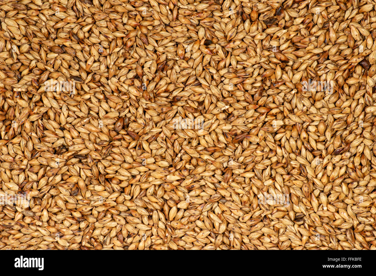 Roasted Barley Seeds Background Macro Photo Shot Stock Photo Alamy