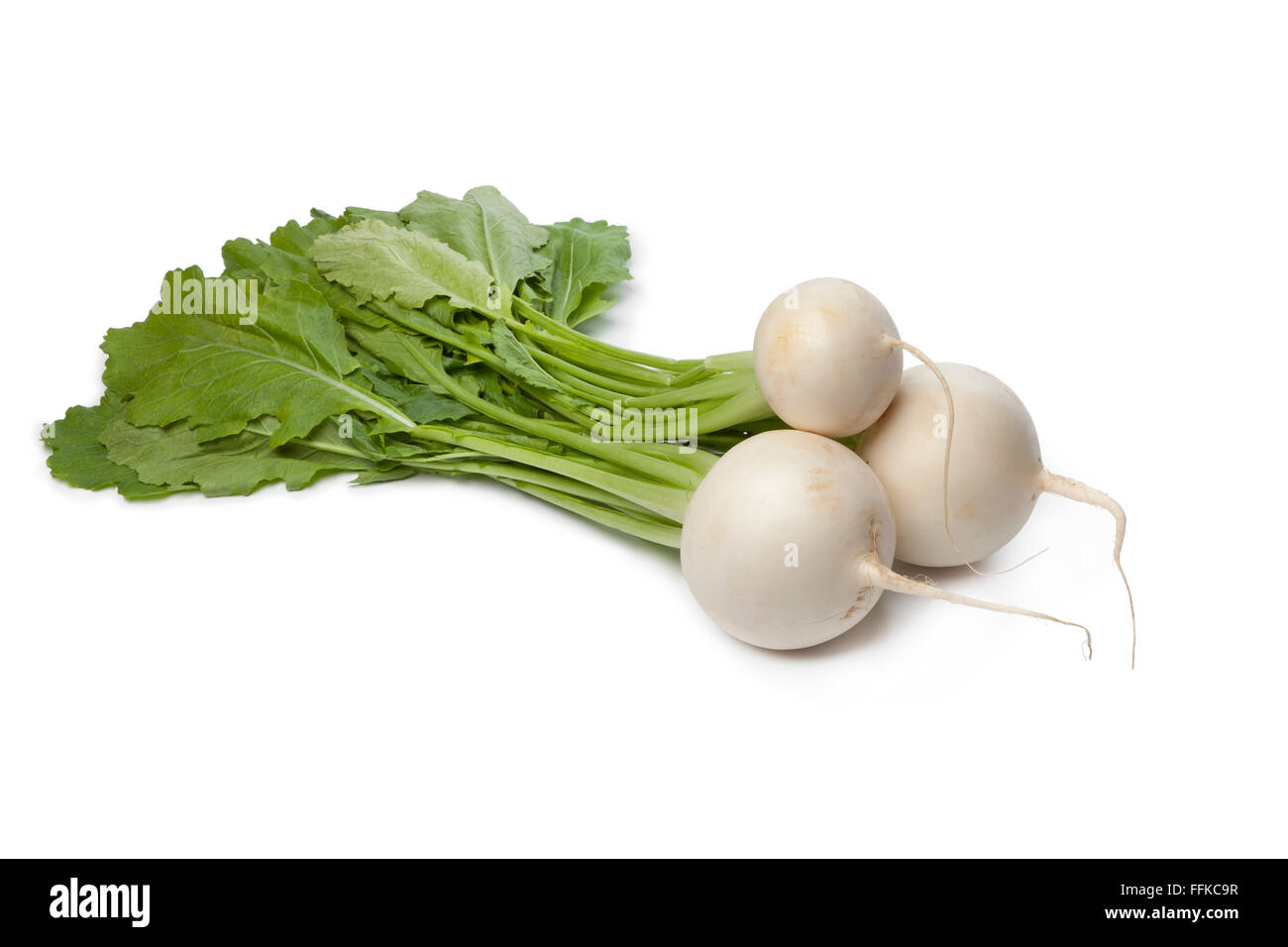 Fresh white round Daikon radish on white background Stock Photo