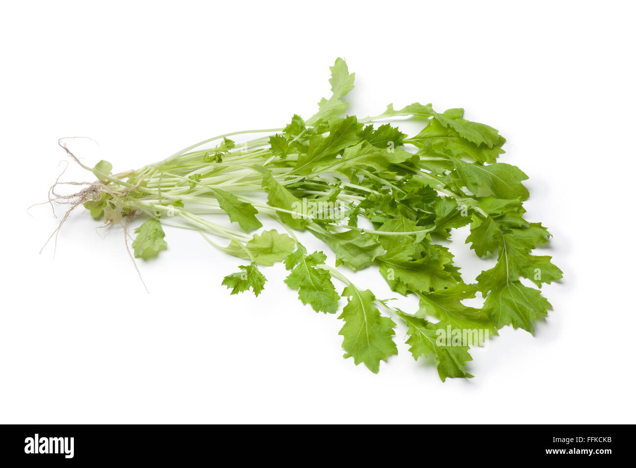 Fresh raw Winter cresss vegetable on white background Stock Photo