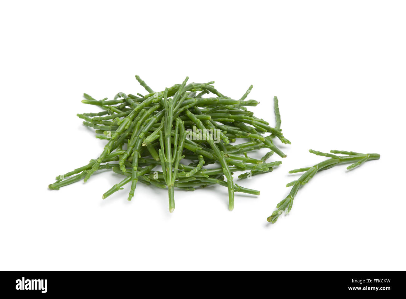 Heap of fresh Samphire stalks on white background Stock Photo