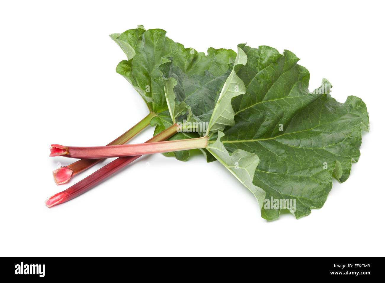 Fresh Rhubarb stalks and leaves on white background Stock Photo