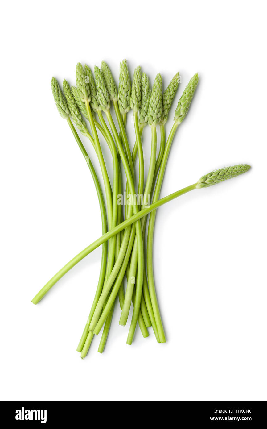 Fresh wild green asparagus on white background Stock Photo