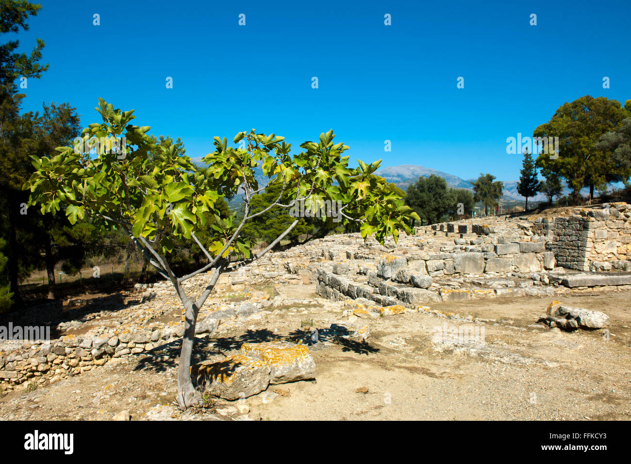 Griechenland, Kreta, Messara-Ebene, Agia Triada, Überreste einer Palastanlage. Agia Triada ist nach Phaistos die zweitgrößte Sie Stock Photo