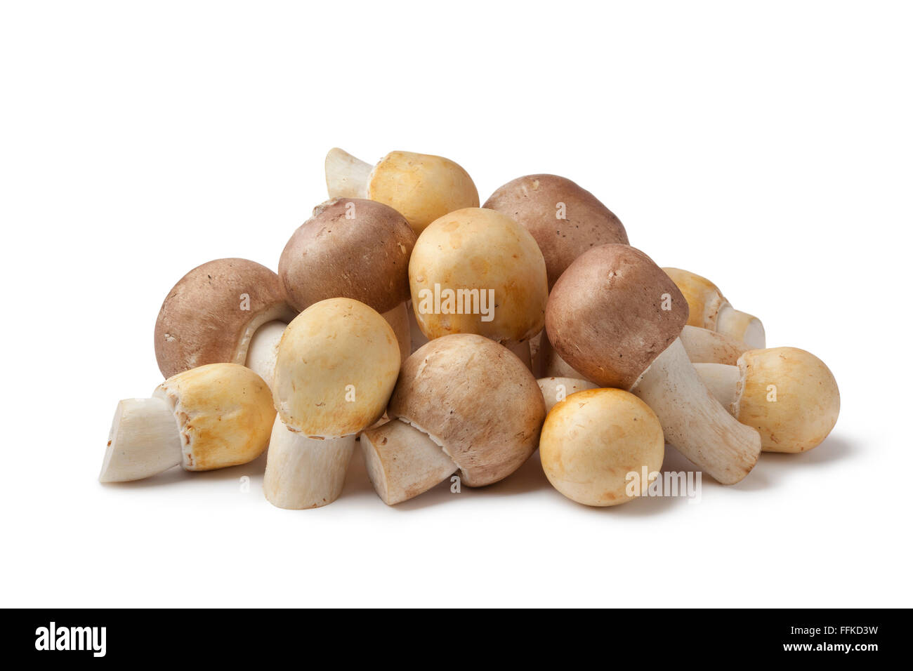 Fresh Almond and Horse Mushrooms on white background Stock Photo