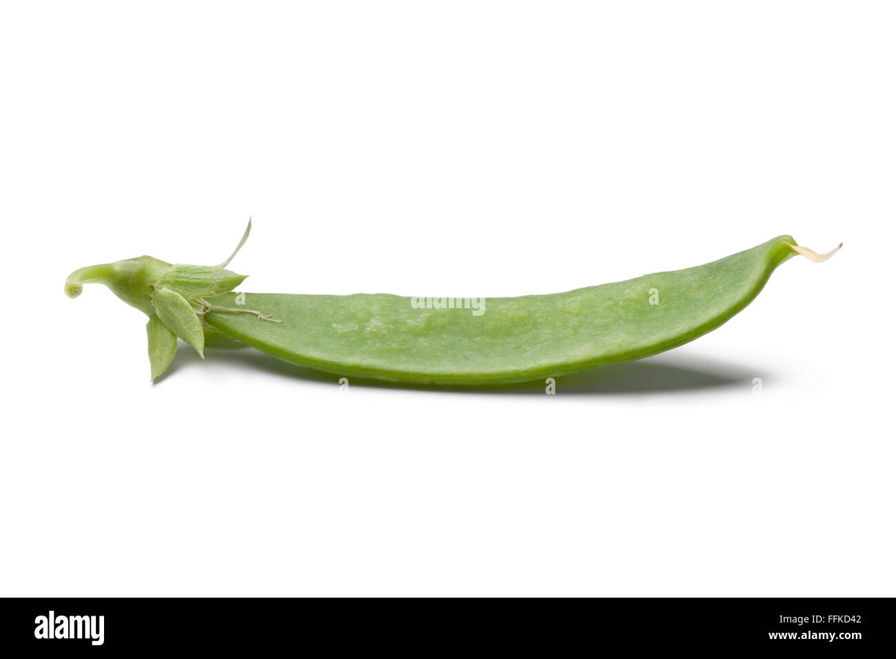 Whole single fresh green Sugar snap pea on white background Stock Photo
