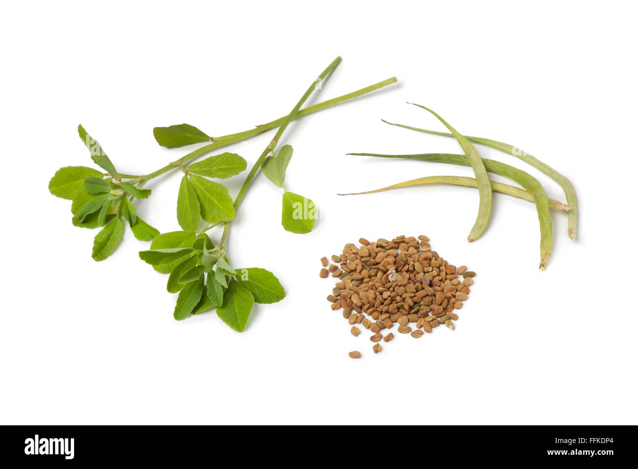 Fenugreek leaves, pods and seeds on white background Stock Photo