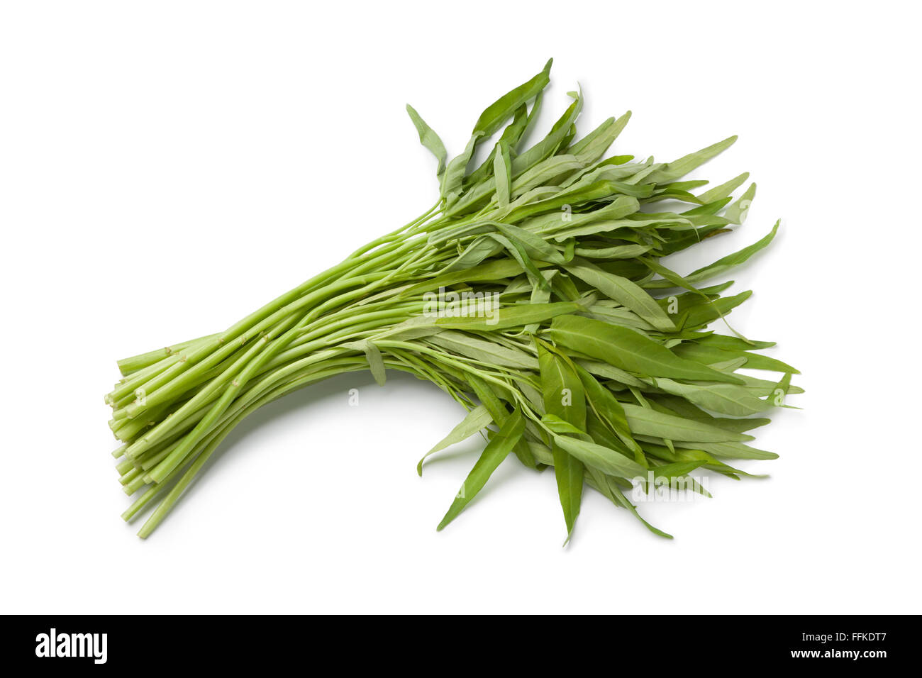 Bunch of Fresh Chinese Water Spinach on white background Stock Photo