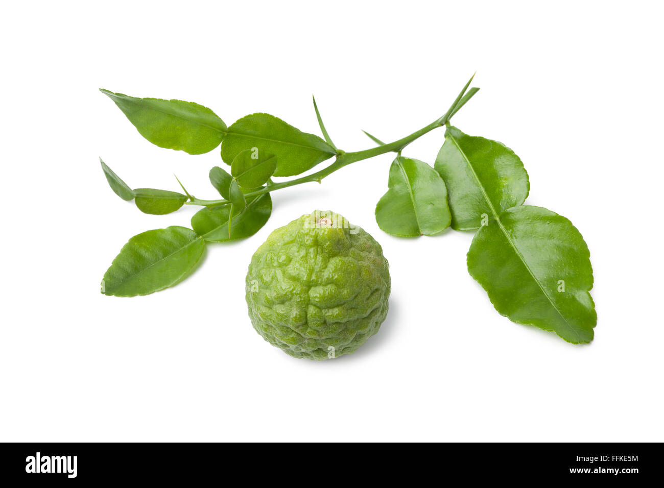 Fresh Kaffir lime and a twig of leaves on white background Stock Photo