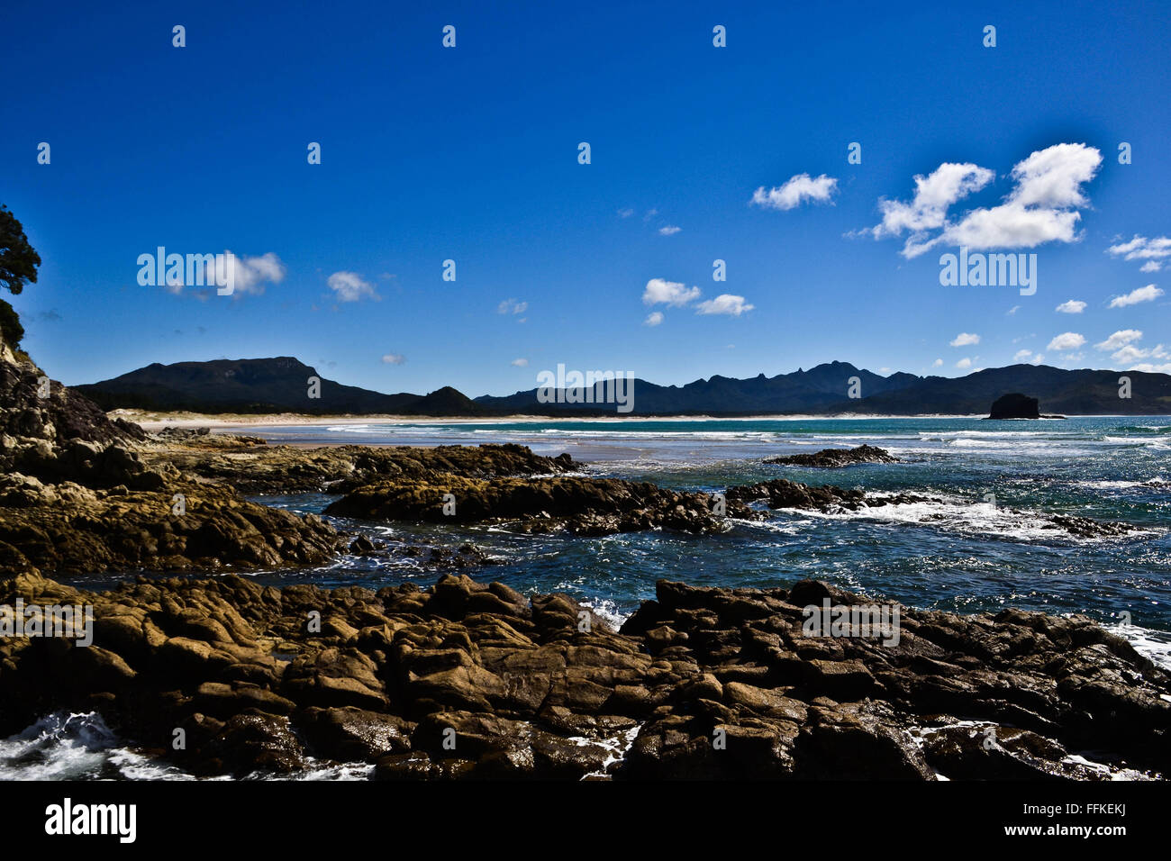 Great barrier island new zealand hires stock photography and images