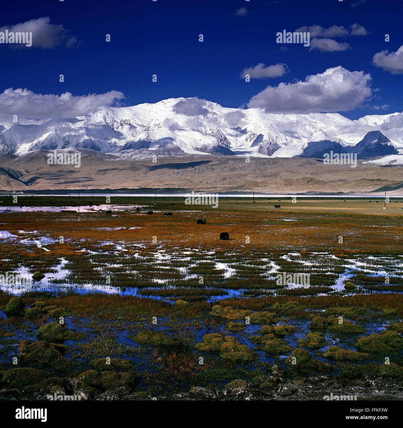 Xinjiang grassland 2006 Stock Photo - Alamy