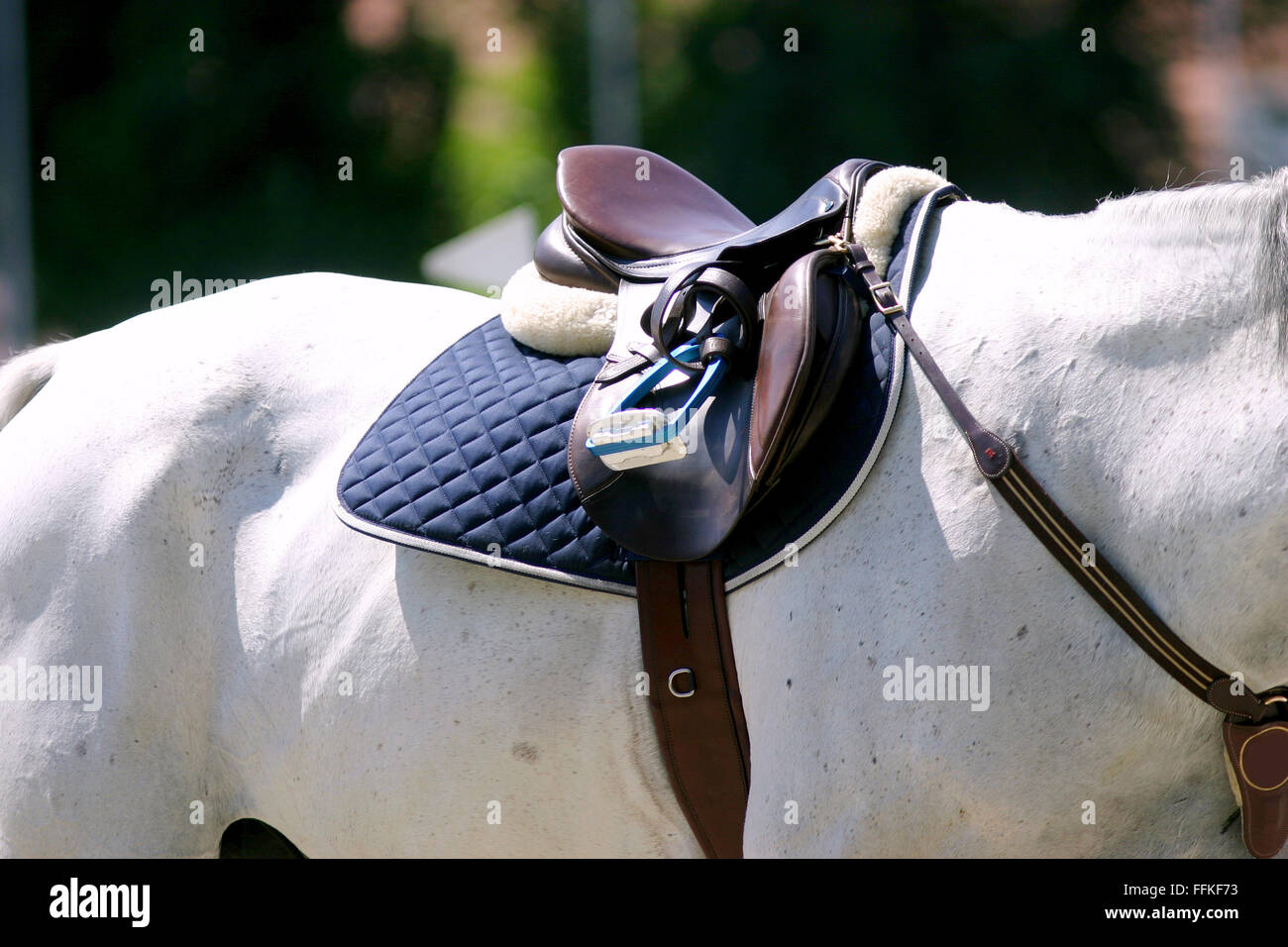 Saddle with stirrups on a back of a sporting show jumper horse Stock