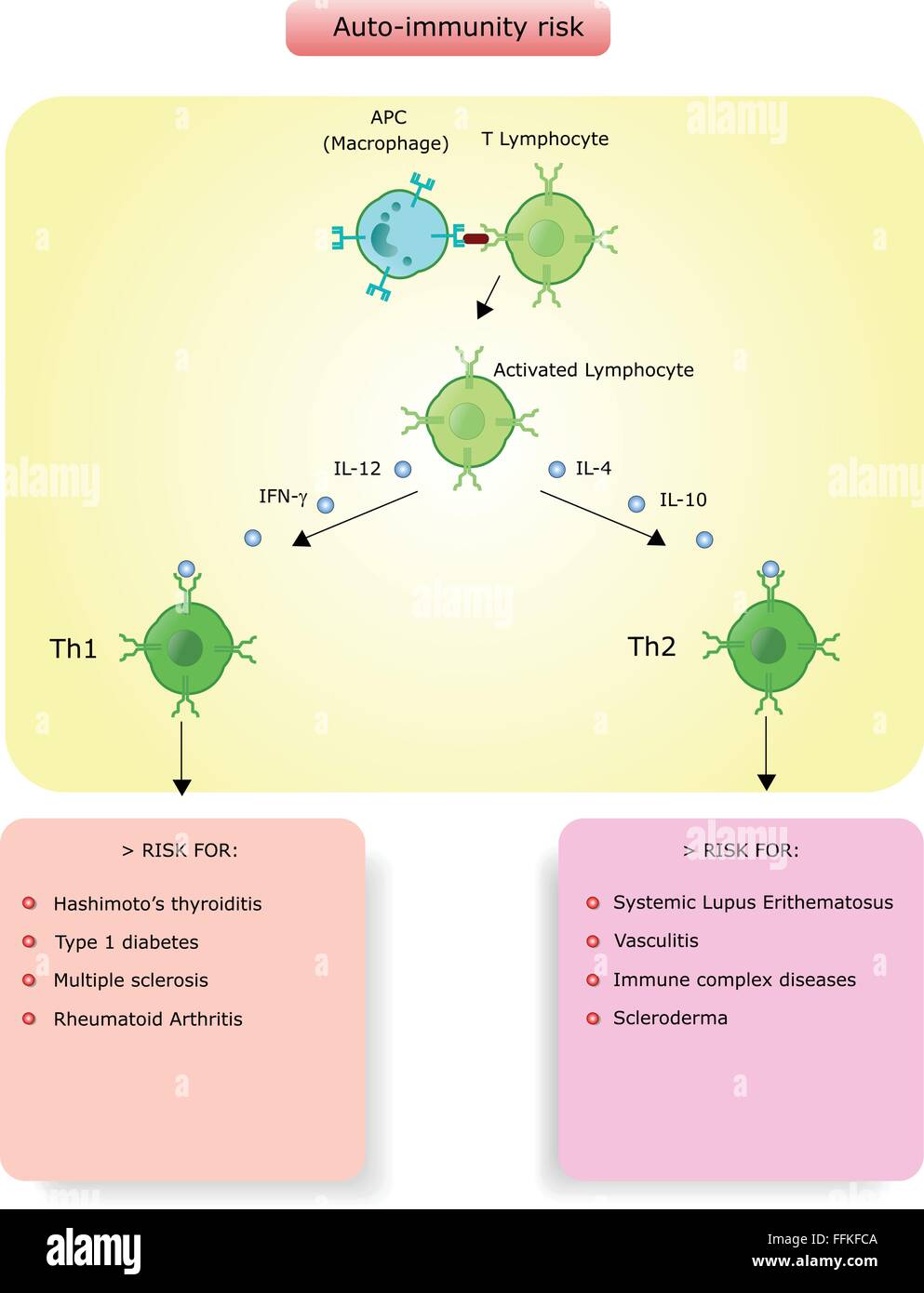 Auto immunity Stock Vector Images - Alamy