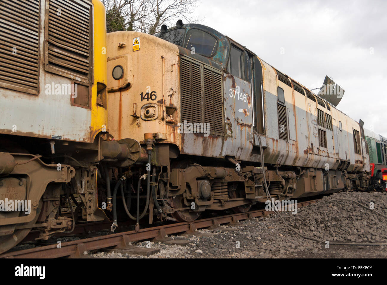 37146 Stock Photo