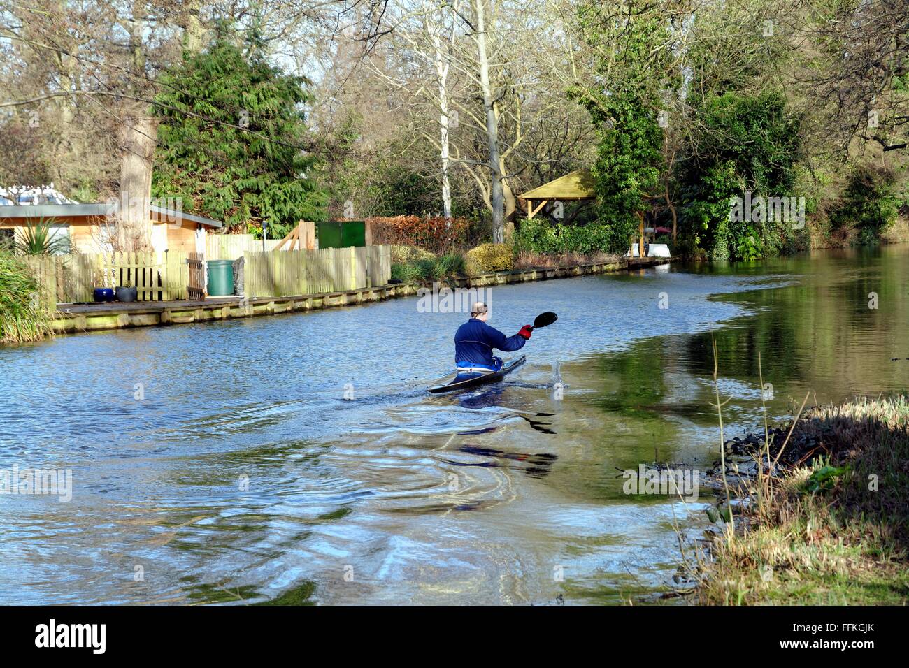 Single male canoing on the River Wey navigation Byfleet Surrey Stock