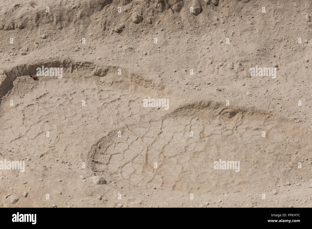 African elephant tracks hires stock photography and images Alamy