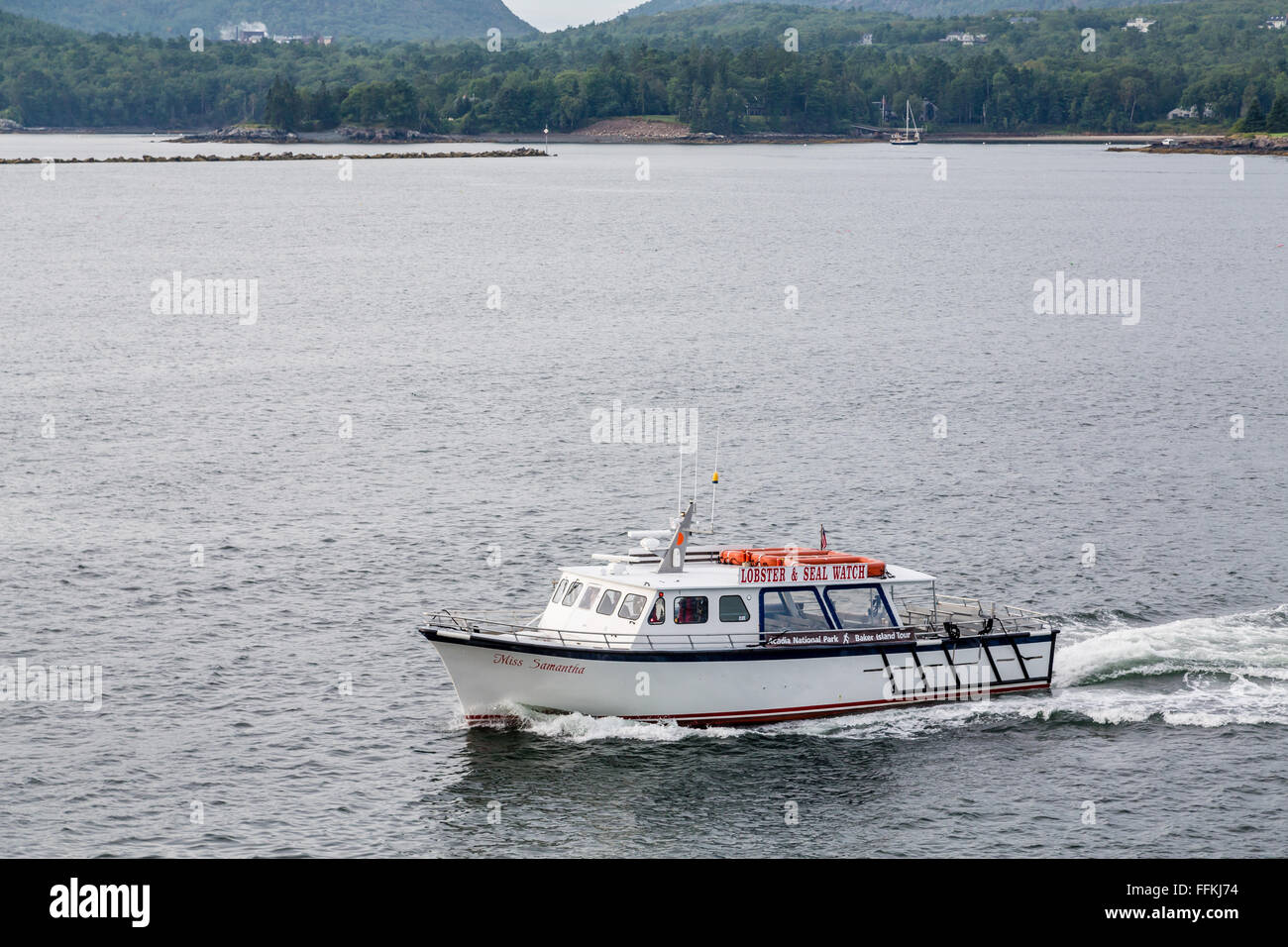 Bar Harbor Maine Lobster High Resolution Stock Photography and Images