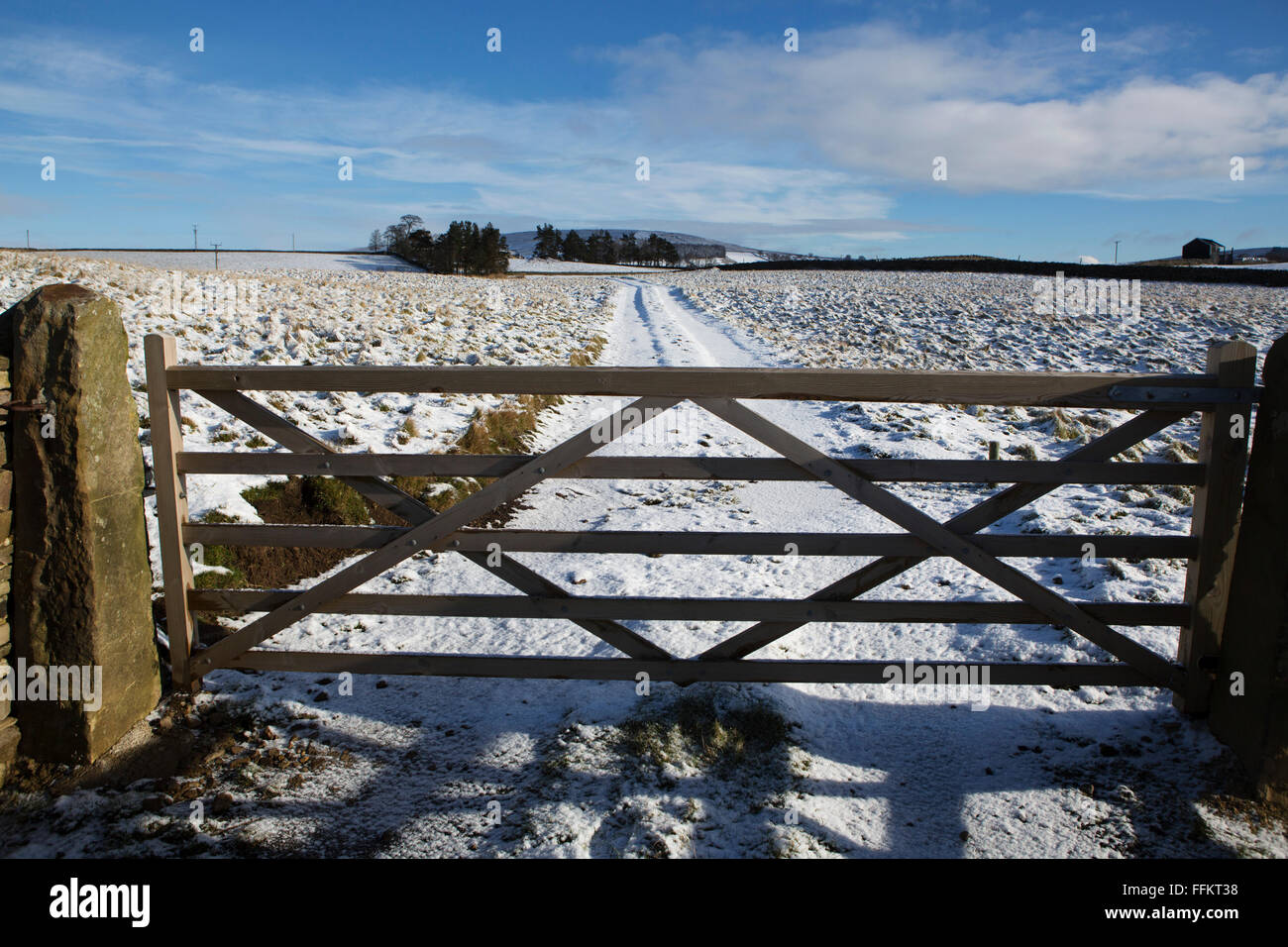 A five bar gate in Upper Teesdale in County Durham, England. The gate keeps a farmer's field closed. Stock Photo