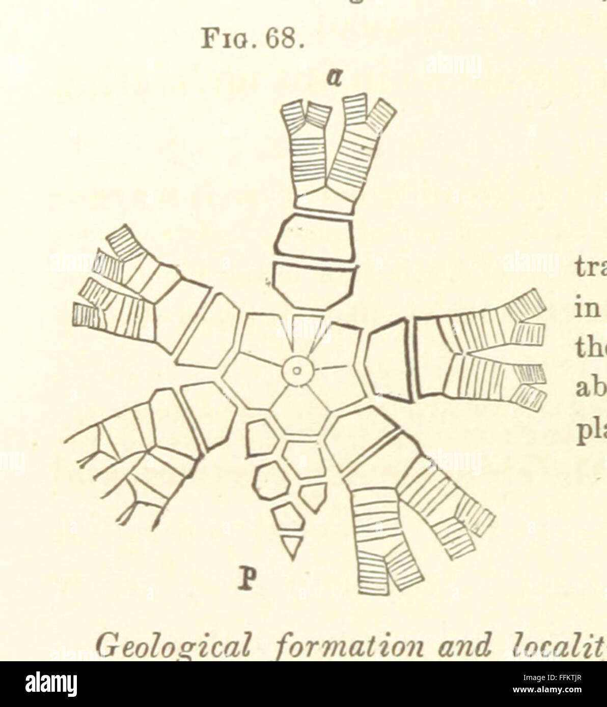 This vintage book presents the first volume of the geological survey of ...