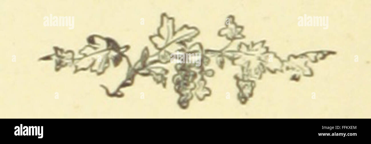 'The Illustrated Family Burns' is a vintage book that combines an ...