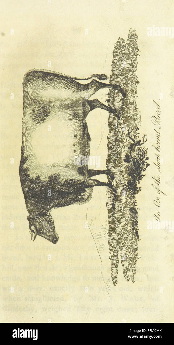 1 of observations on the breeding and management of neat cattle