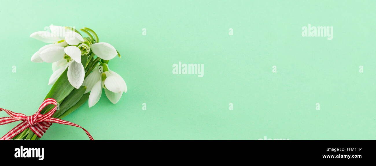 Spring banner. Fresh snowdrops bouquet with copyspace Stock Photo