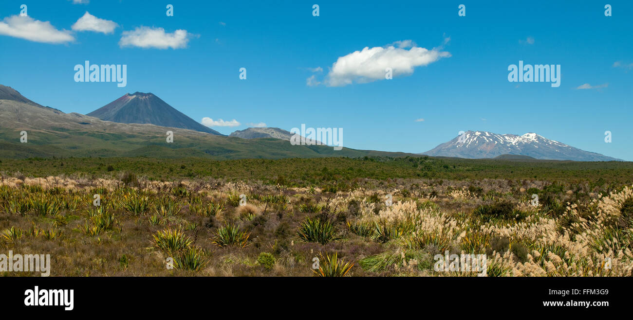 North island new zealand dormant volcano hi-res stock photography and