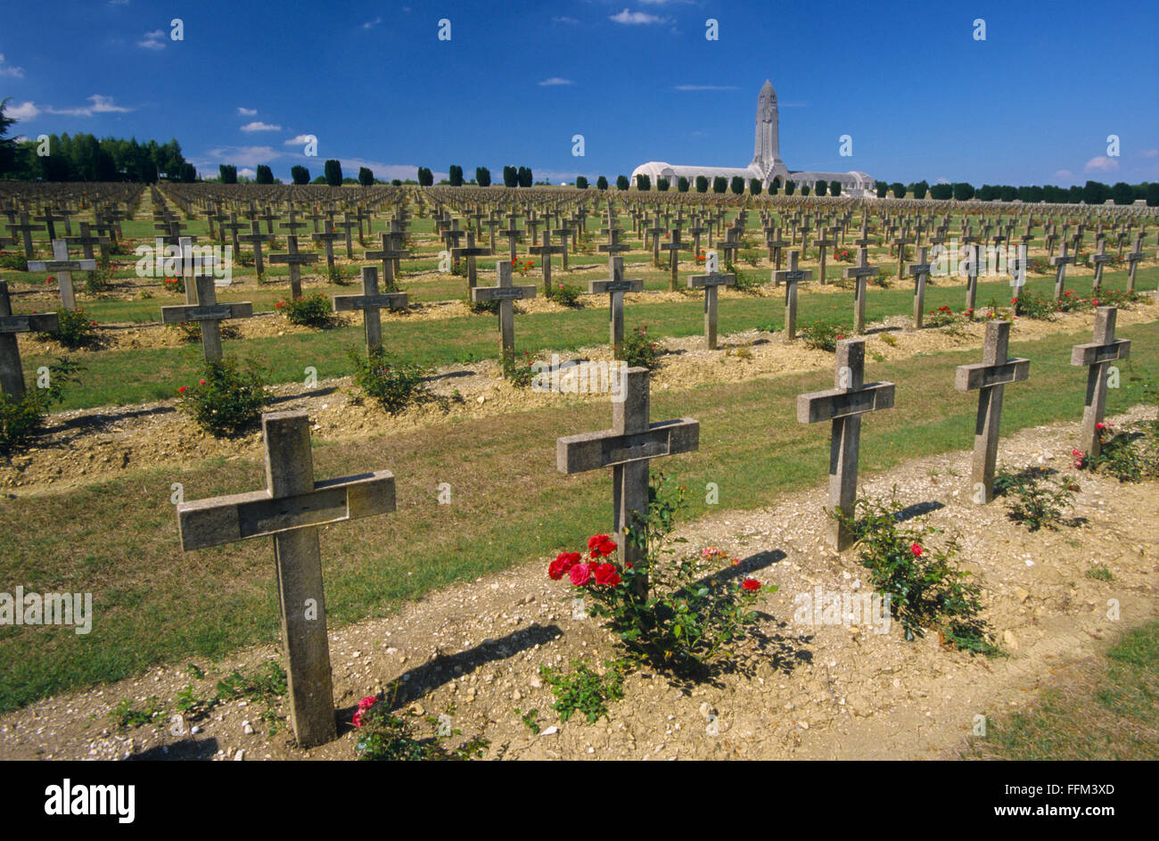 France, Meuse (55), Verdun, Douaumont ossuary, alignment of WWI