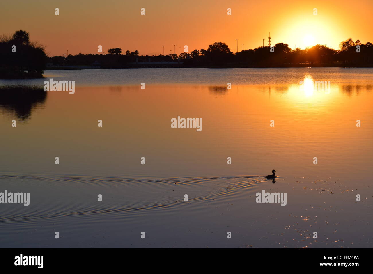 Florida lake sunrise hi-res stock photography and images - Alamy
