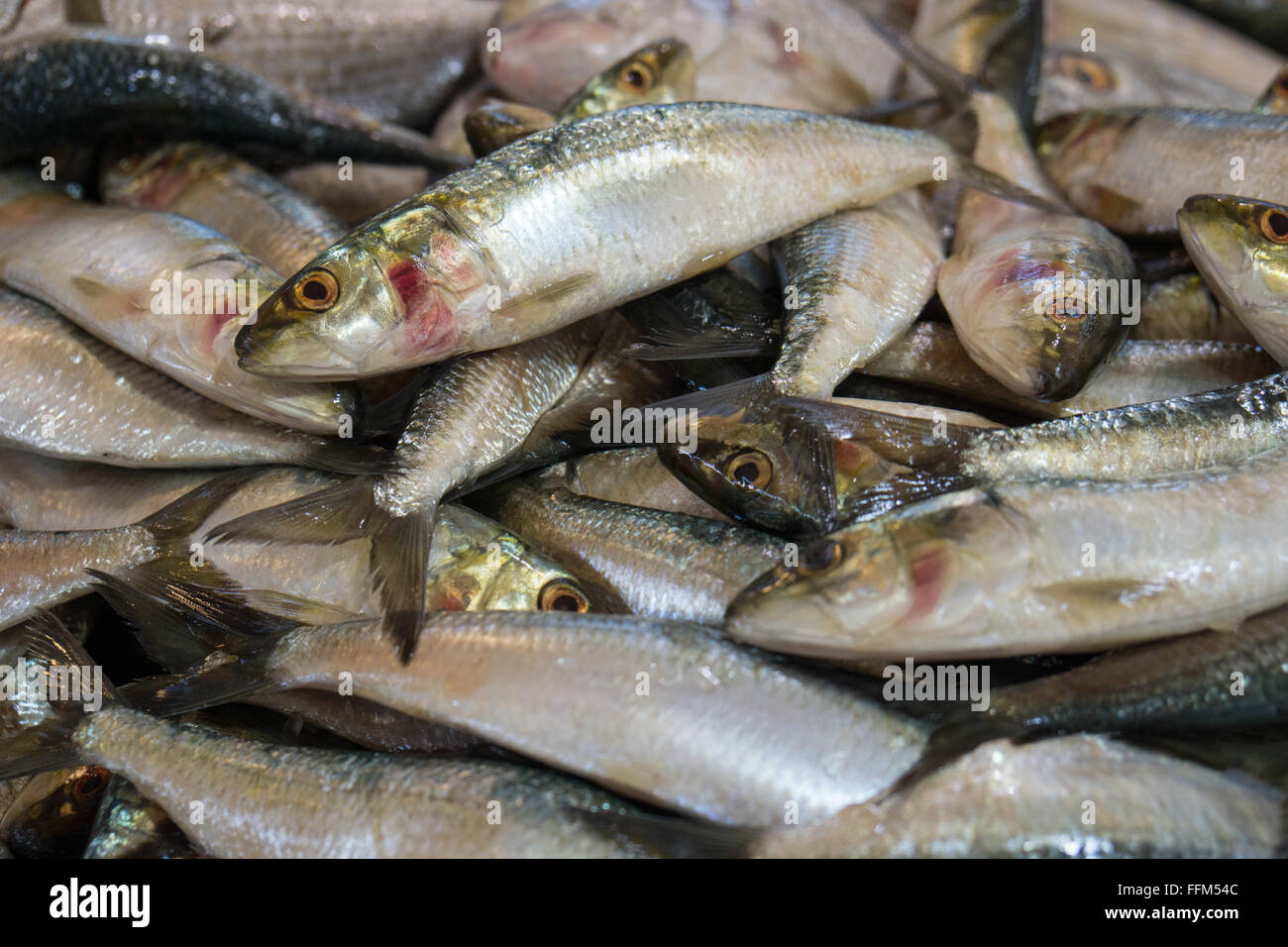 Small fish fish market hi-res stock photography and images - Alamy