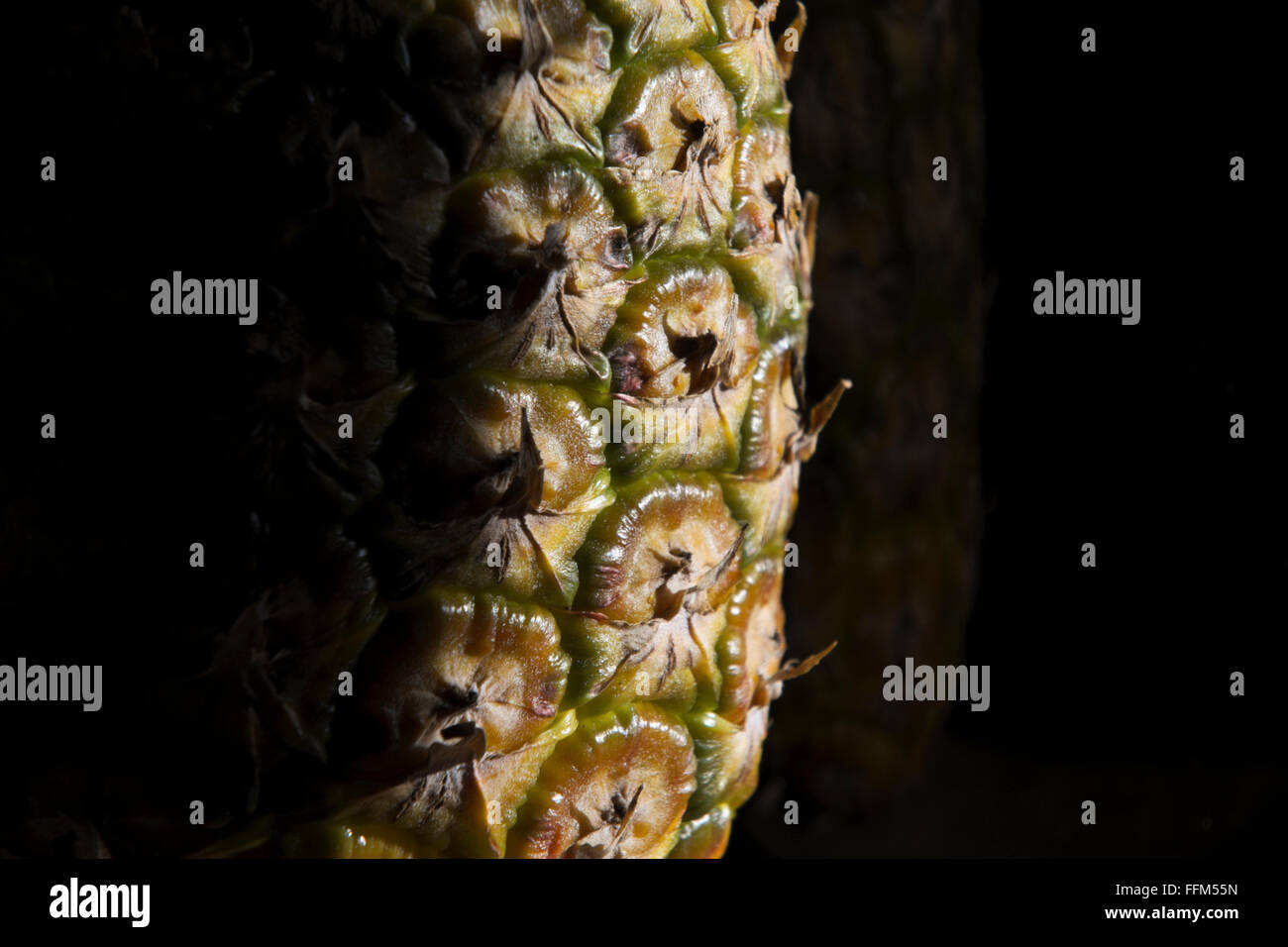 Fresh Pineapple in direct sunlight through a kitchen window Stock Photo