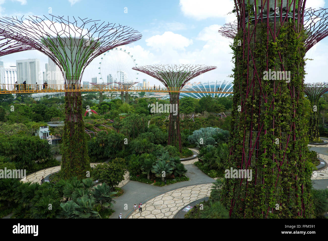 OCBC Skyway and the Supertree Grove at Gardens by the Bay complex, Singapore Stock Photo