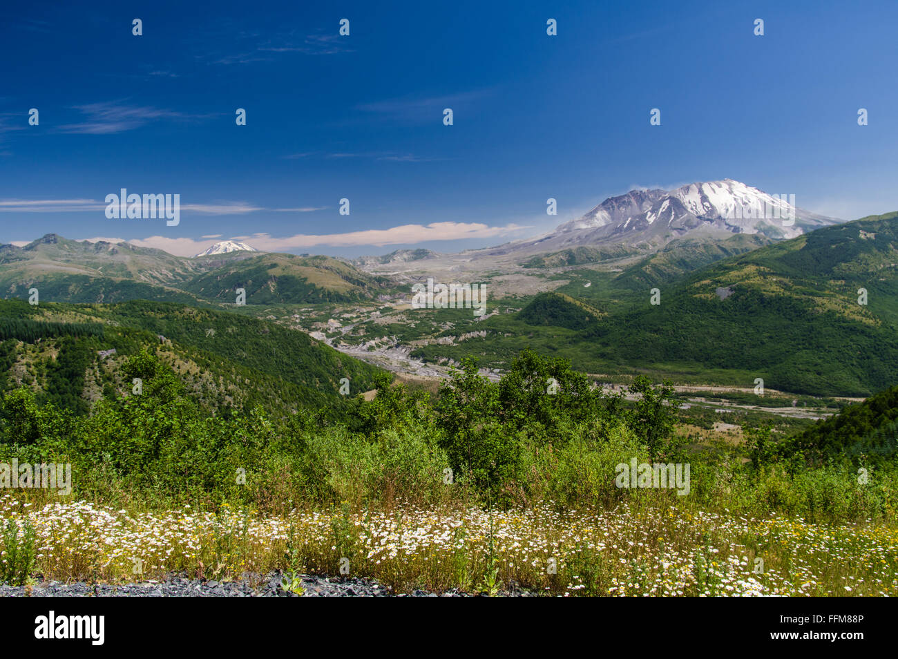 Mt st helens after eruption 1980 hi-res stock photography and images ...
