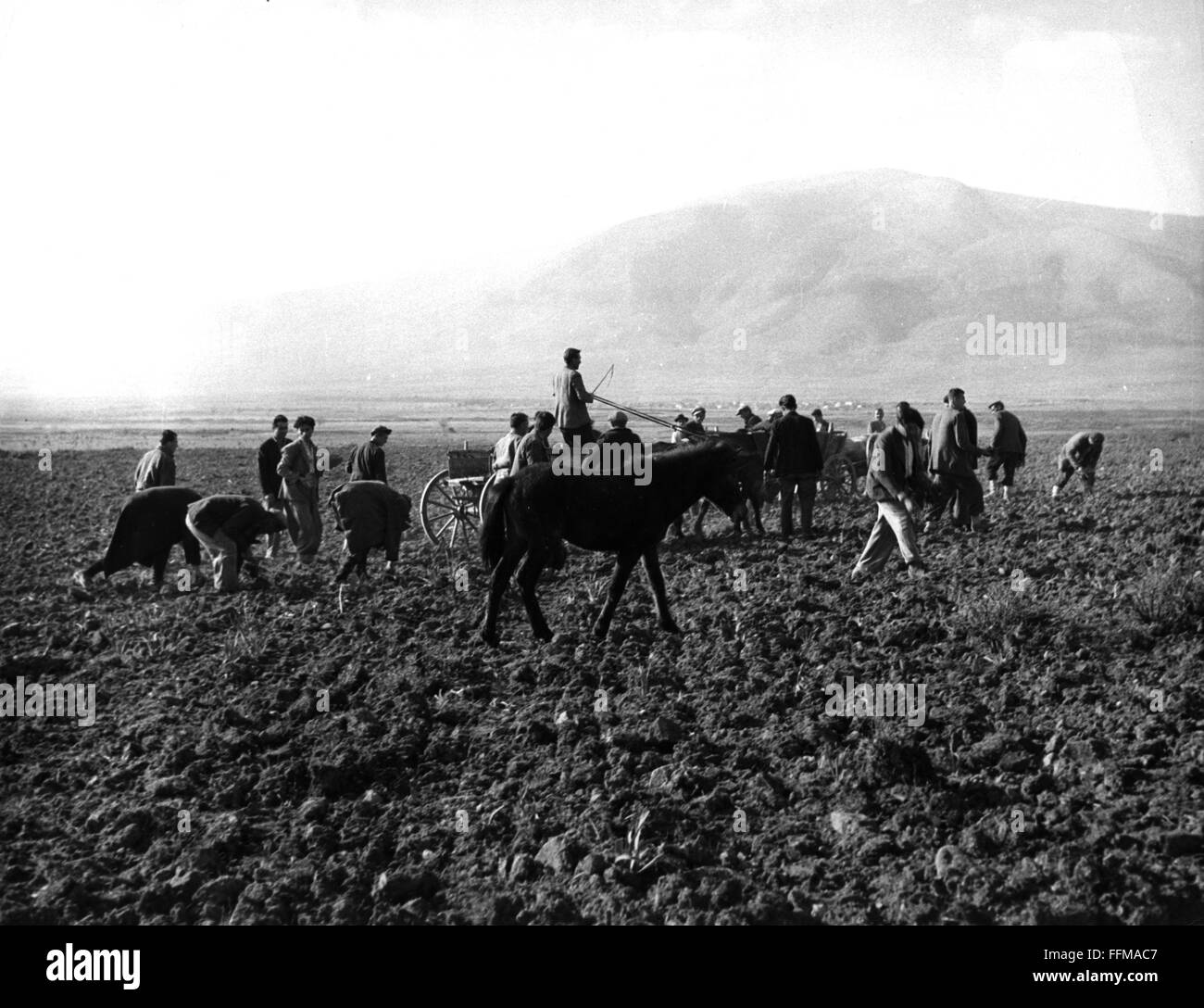 geography / travel, Greece, agriculture, workers on a field, 1950s