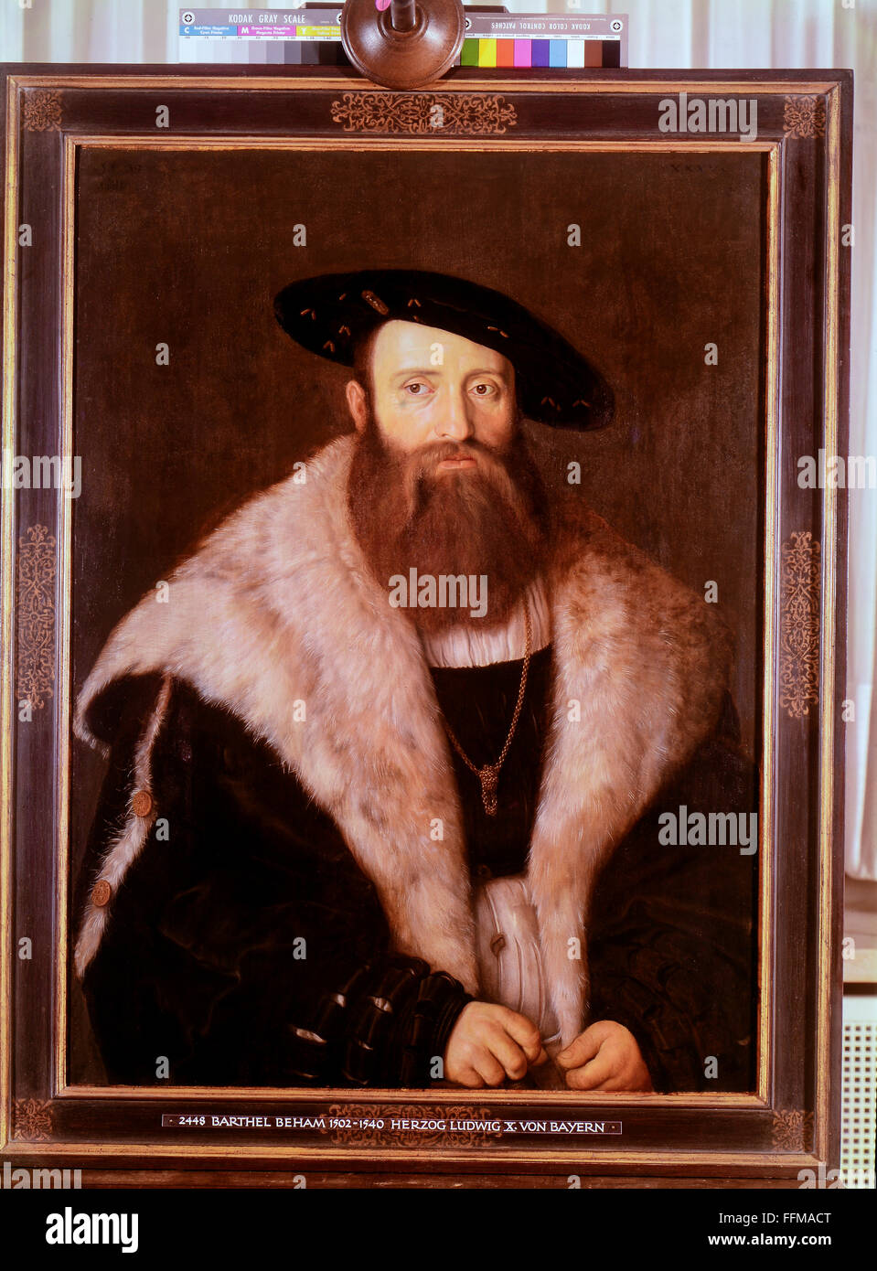 Louis X, 18.9.1495 - 22.4.1545, Duke od Bavaria 29.9.1514 - 22.4.1545, picture, painting by Barthel Beham, tempera on wood, 1530, Alte Pinakothek, Munich, Stock Photo