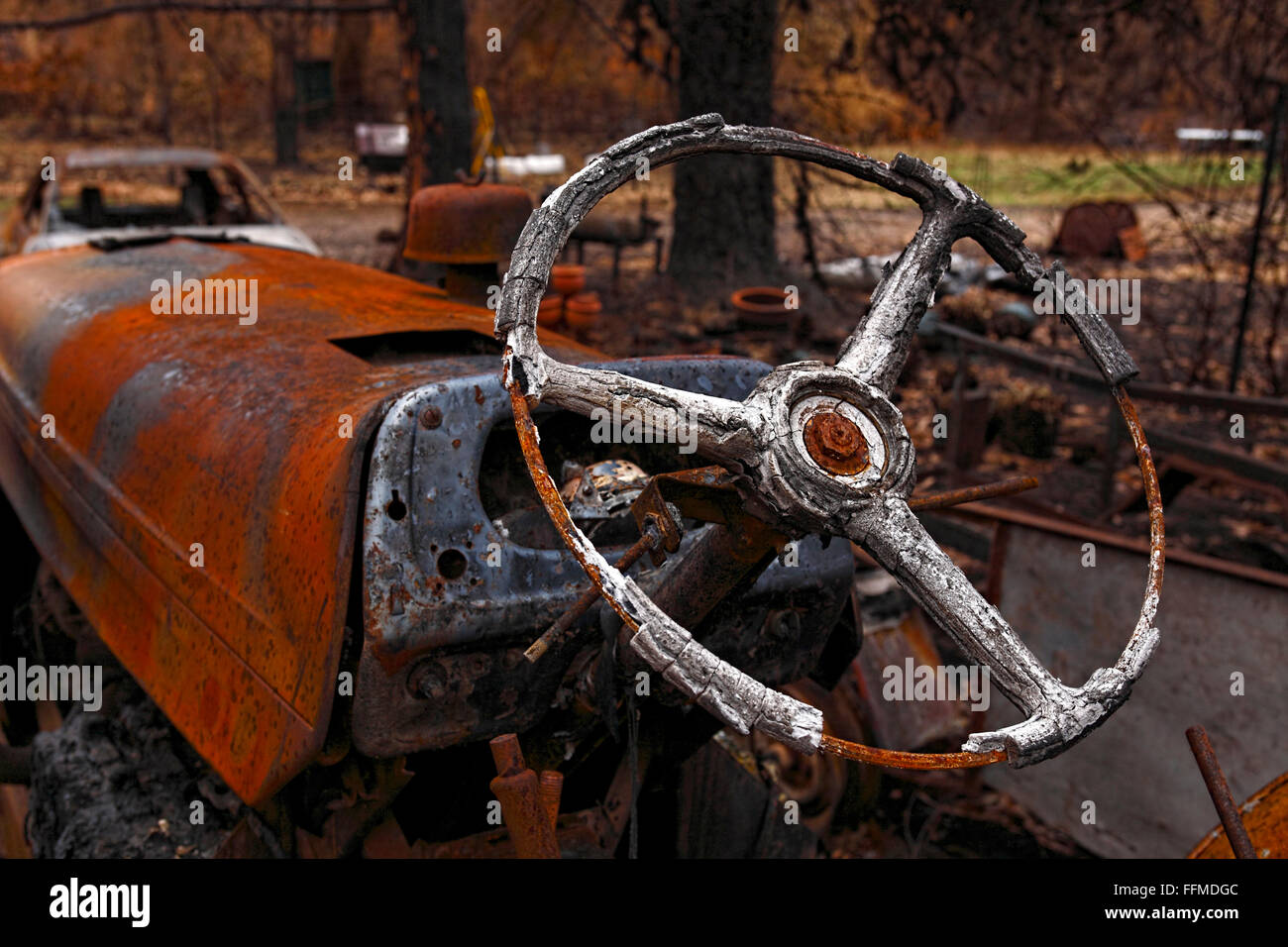 australian bush fire damage,australian bush fire aftermath,post australian bush fire, Stock Photo