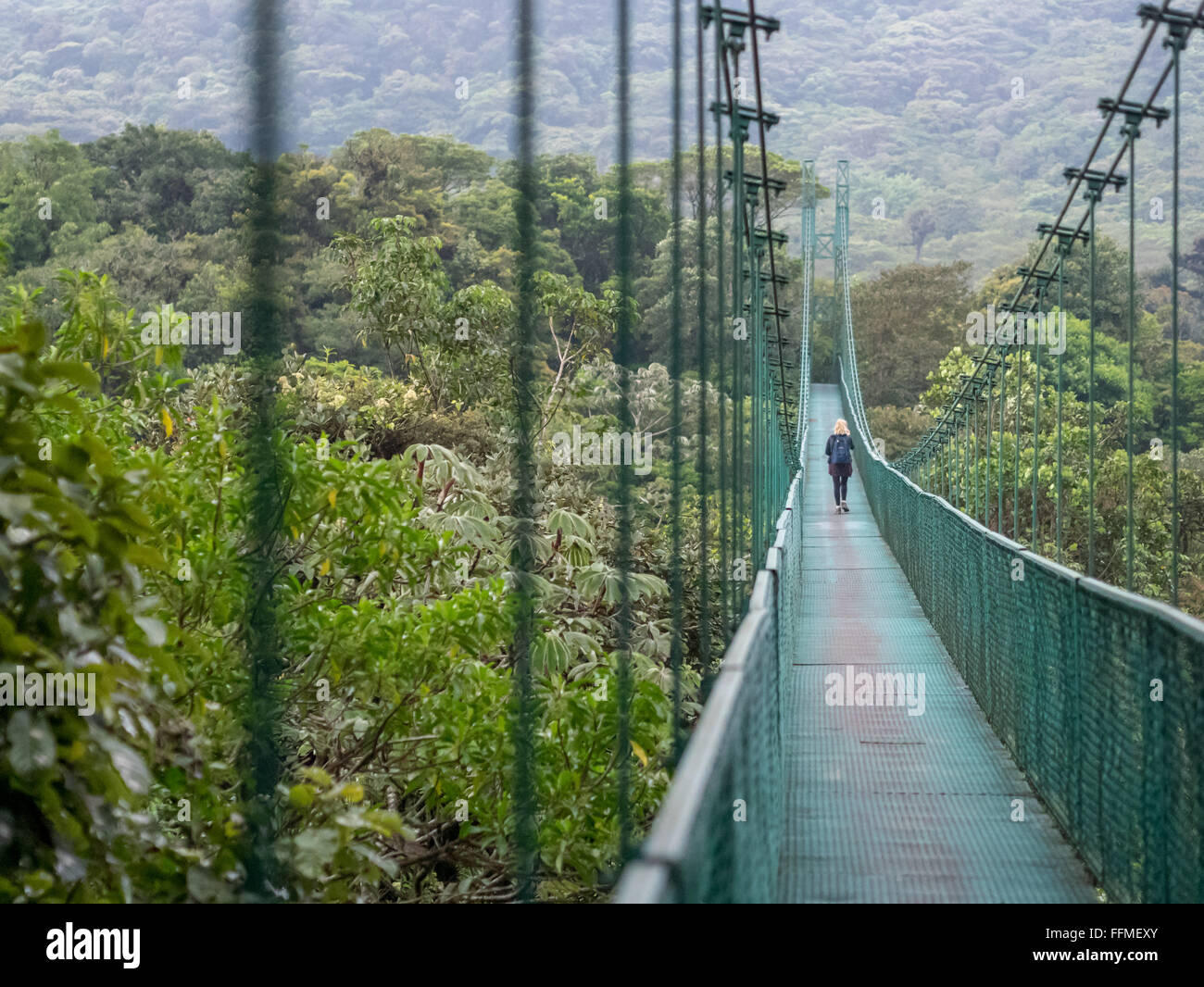 Suspension Bridge in Costa Rica Stock Photo Alamy