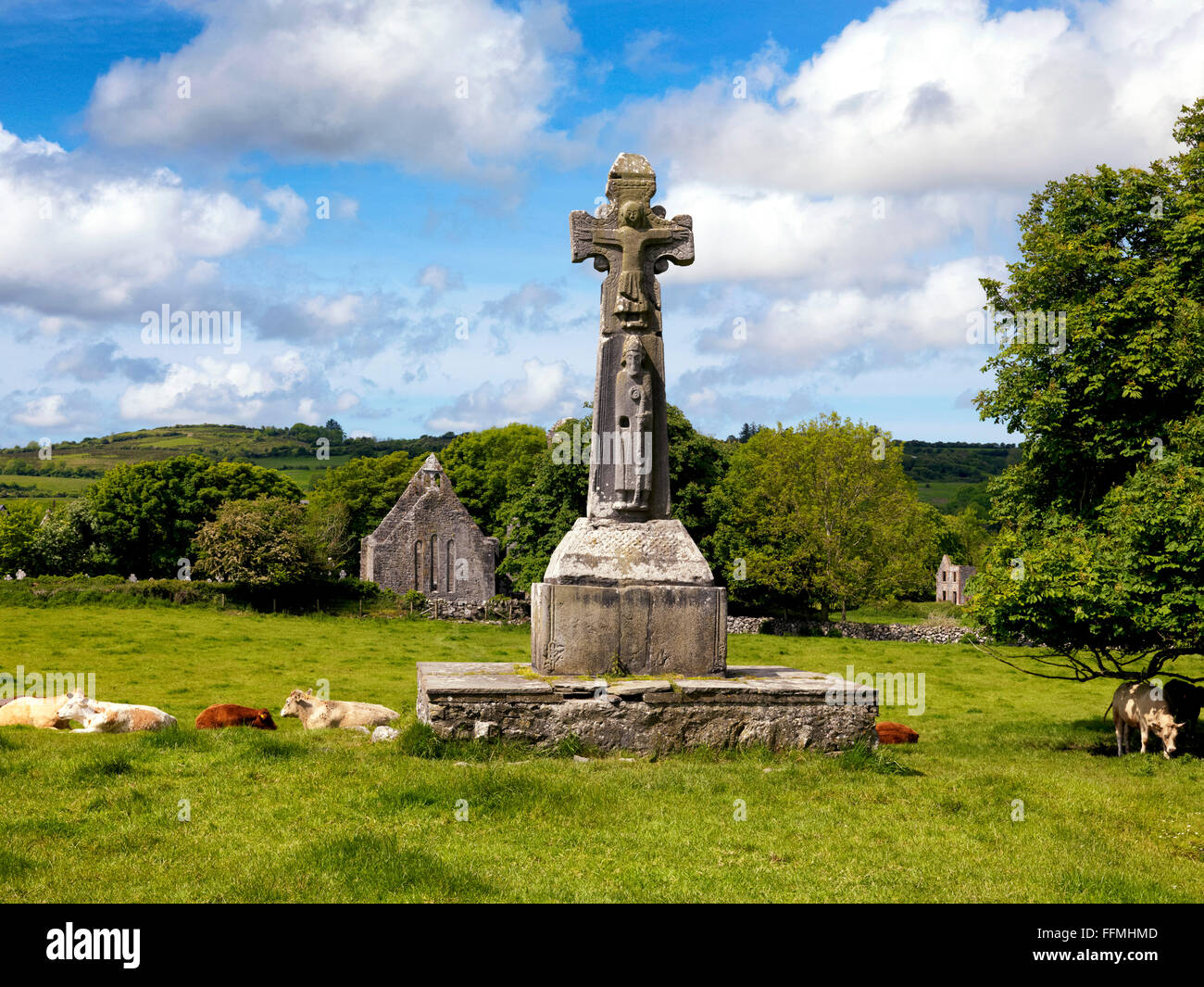 Saint Tola's High Cross, Dysert O'Dea, Clare, Burren Ireland Stock Photo