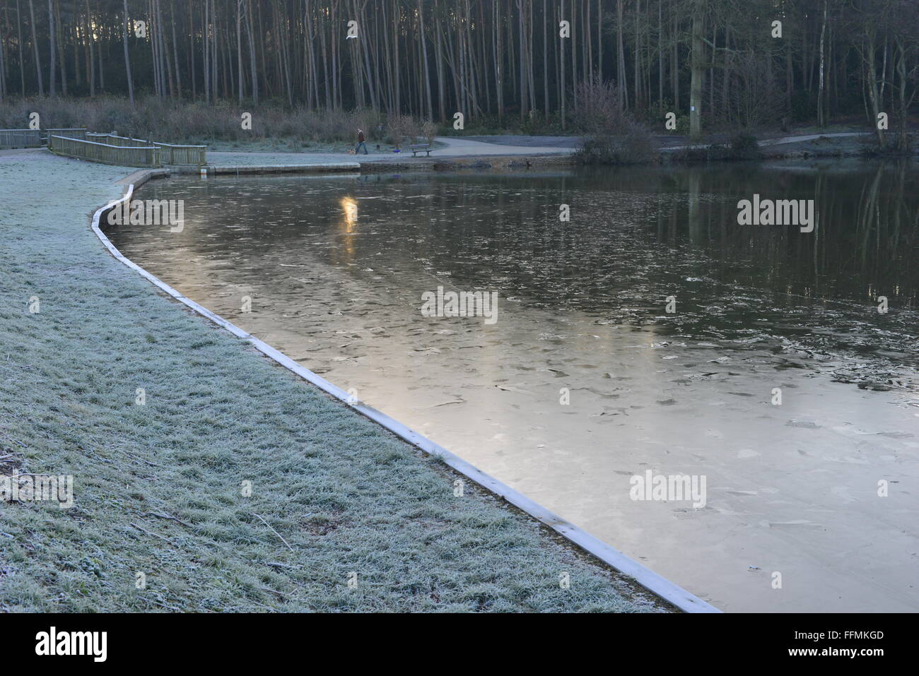A lake at an English country estate in West Sussex England in Winter Stock Photo