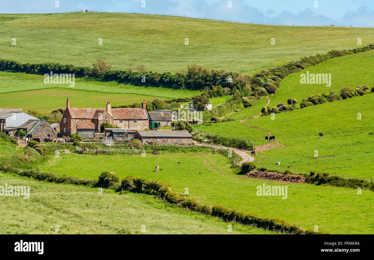 Farm cottage at the south coast of the Isle of Wight, South England Stock Photo