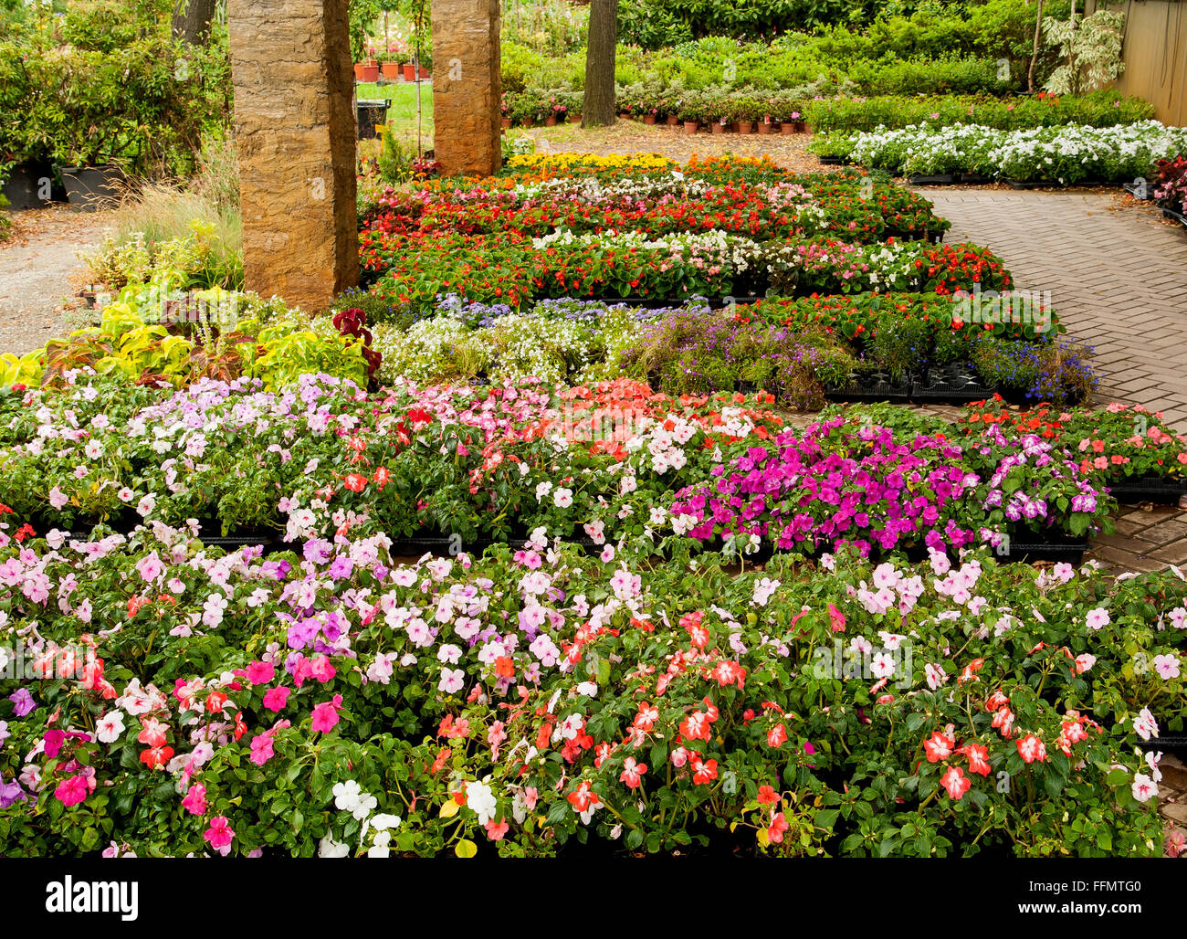 flower shop with many type of flowers in selling Stock Photo Alamy