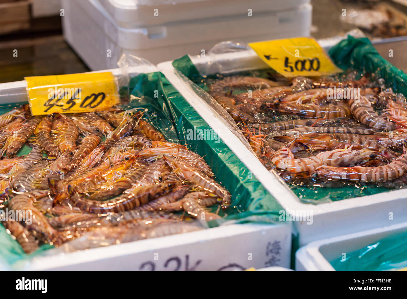Raw seafood selling on market in Japan Stock Photo Alamy