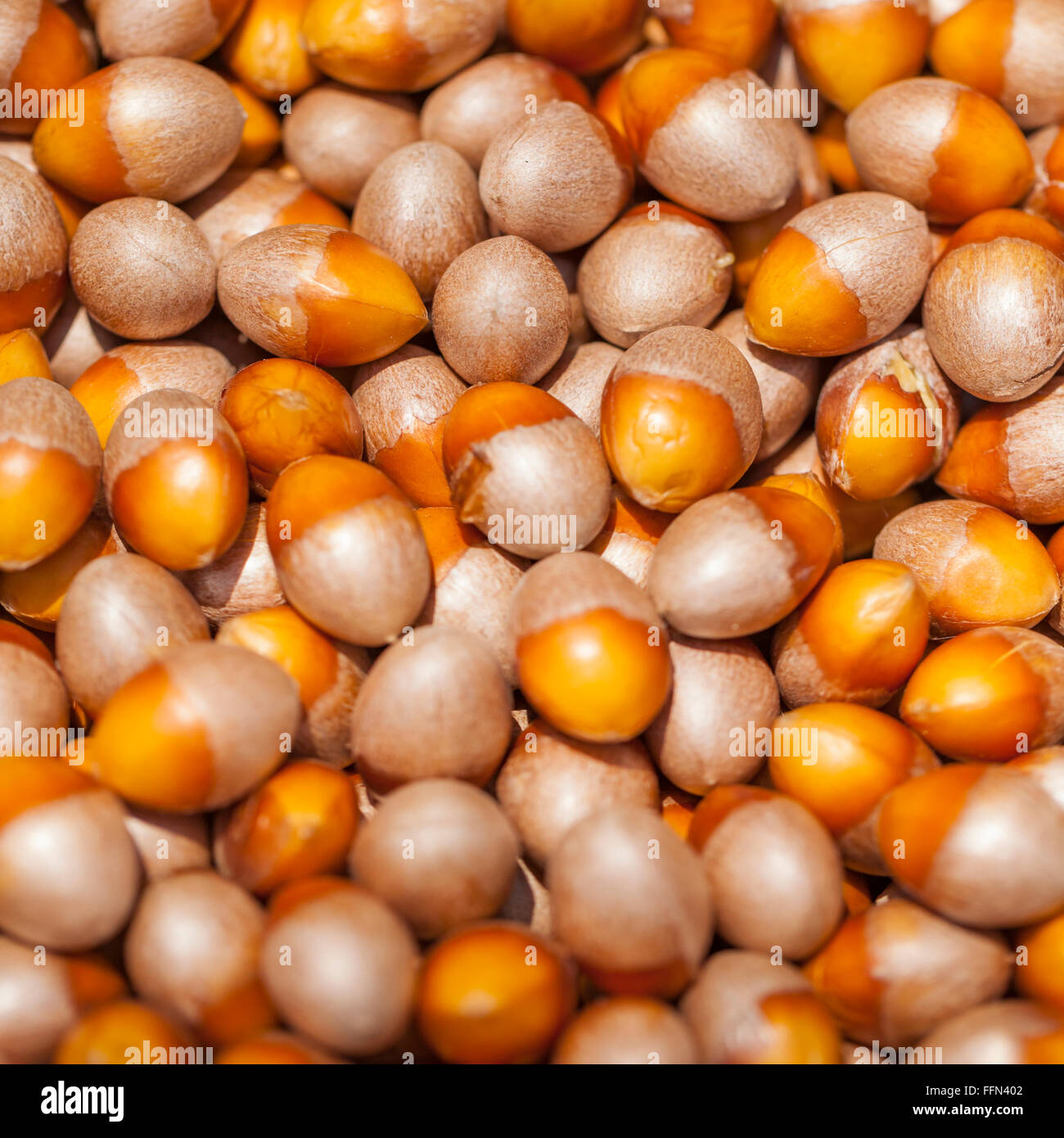Loose hazelnuts on the market Stock Photo Alamy