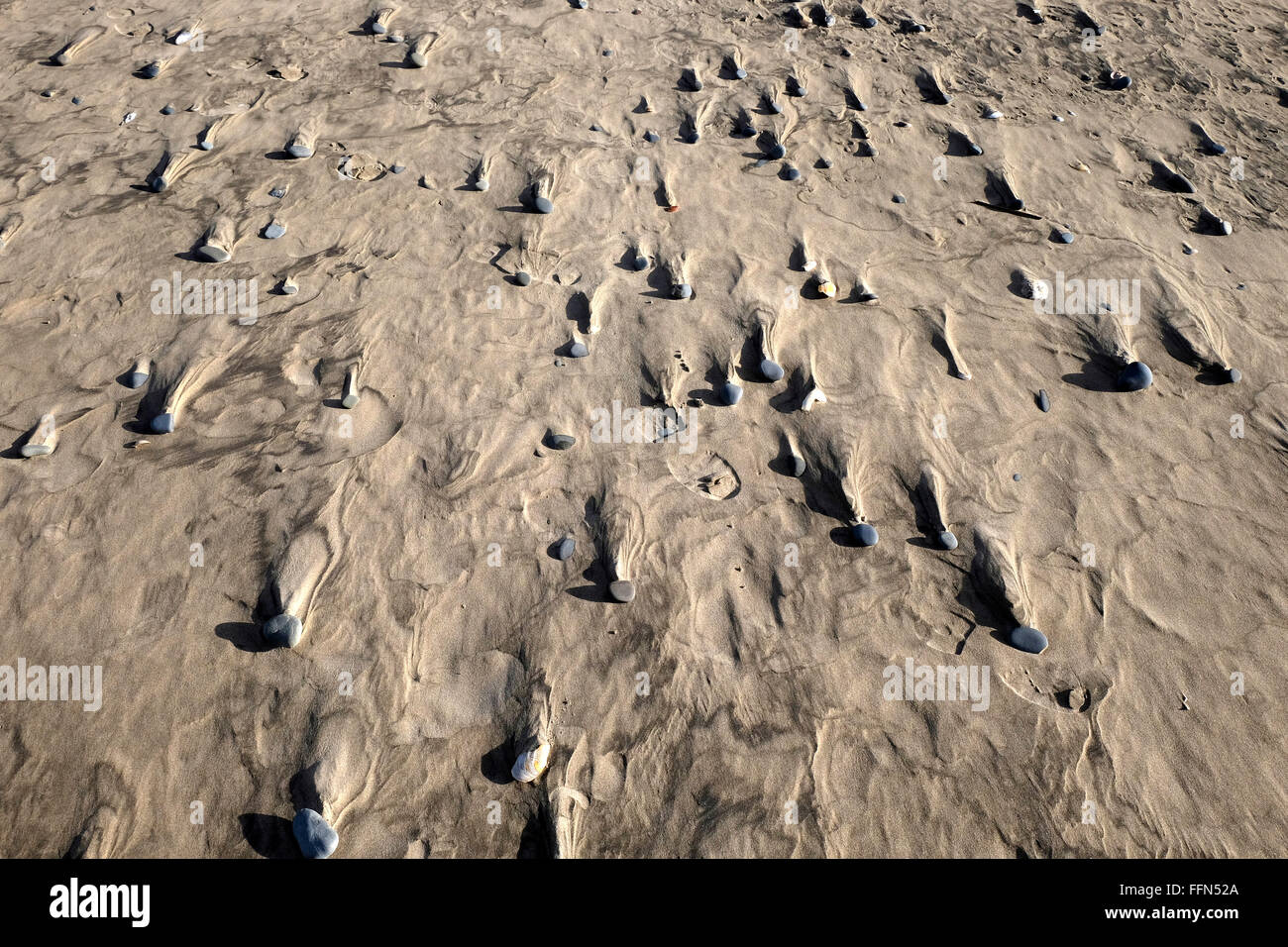 Footprint imprinted in wind blown sand, Ynys Las, Borth, West Wales. Stock Photo