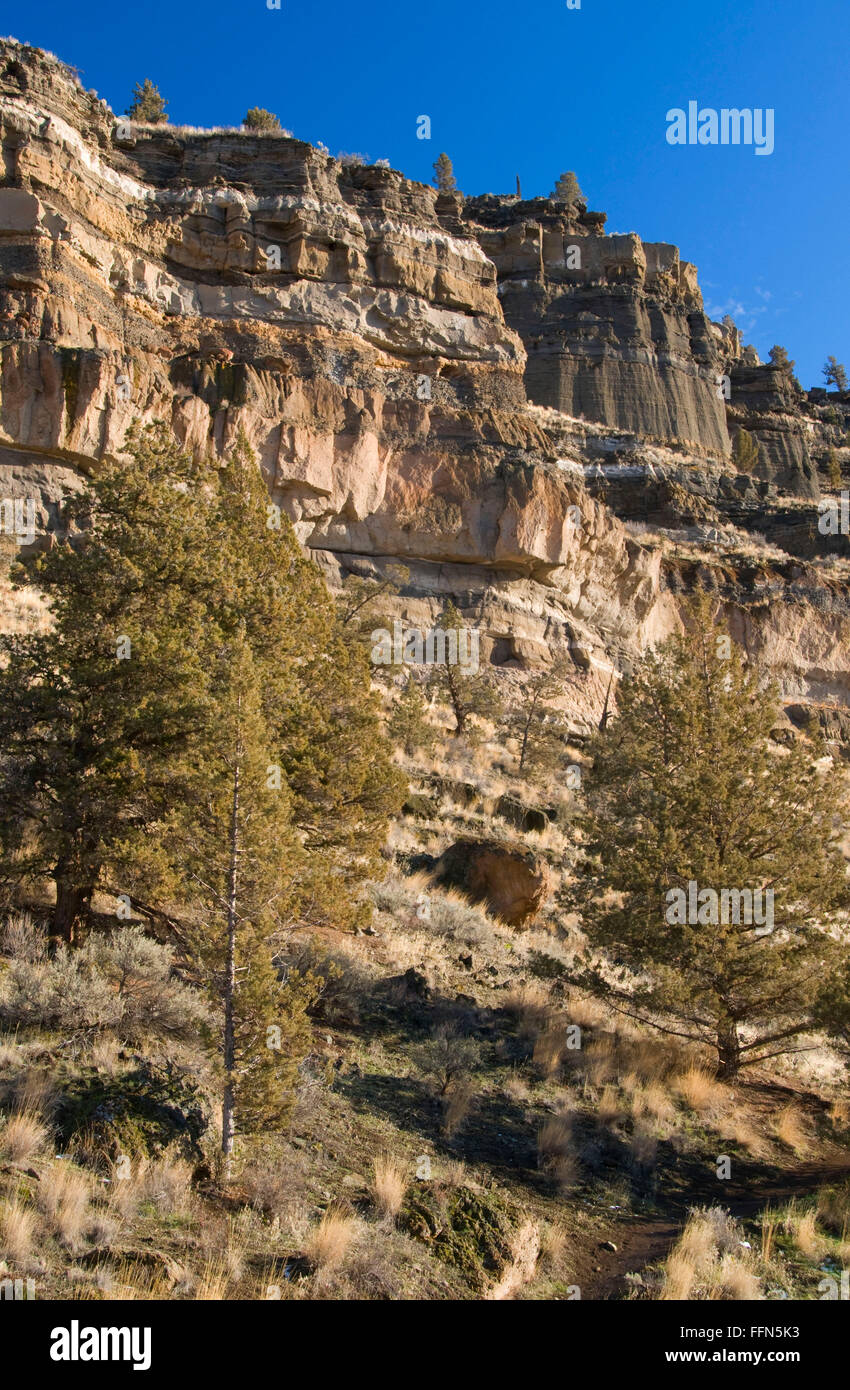 Deschutes River canyon slope, Steelhead Falls Wilderness Study Area, Deschutes Wild and Scenic River, Oregon Stock Photo