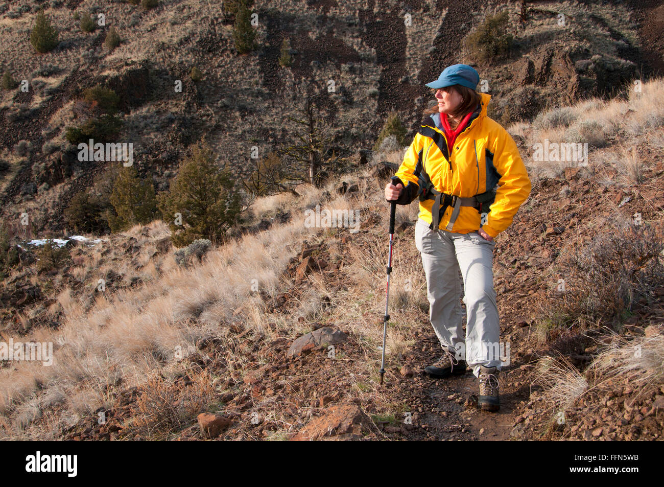 rocktrail walking sticks