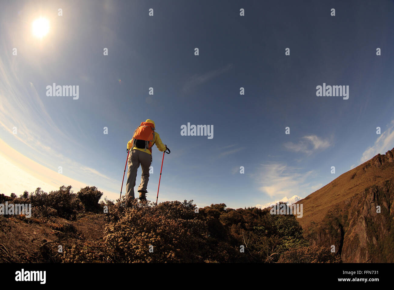 young woman backpacker climbing to mountain peak Stock Photo - Alamy
