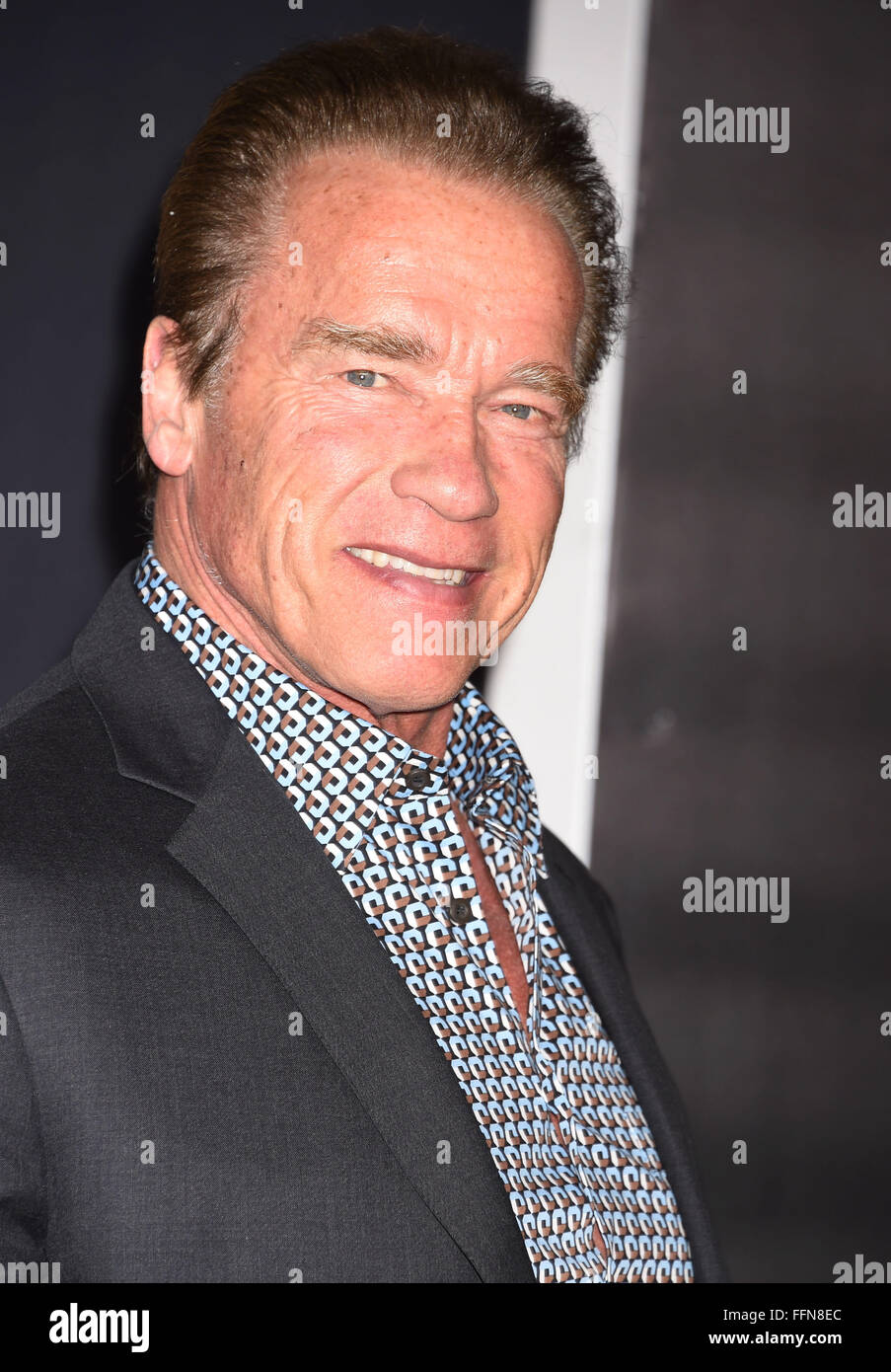 Governor Arnold Schwarzenegger High Resolution Stock Photography and