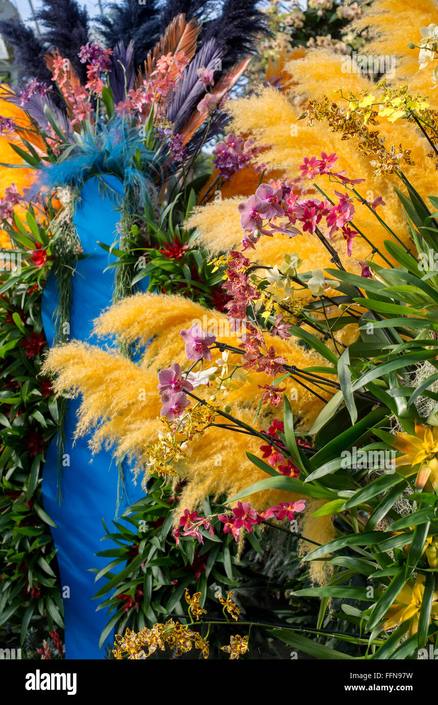 Orchid festival display inside The Princes of Wales Conservatory at Kew botanical gardens. London, UK Stock Photo